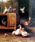 unknow artist Duck and Pigeon oil painting